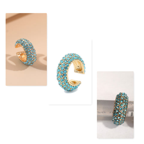 Earrings - Blue