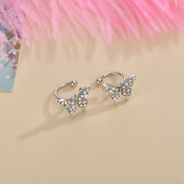 Earrings - Silver