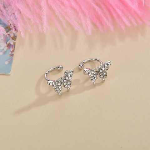 Earrings - Silver